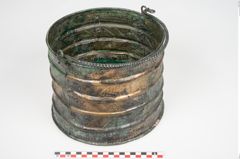 Foto von Bronzerippenziste (NHMW-PRAE-025462)